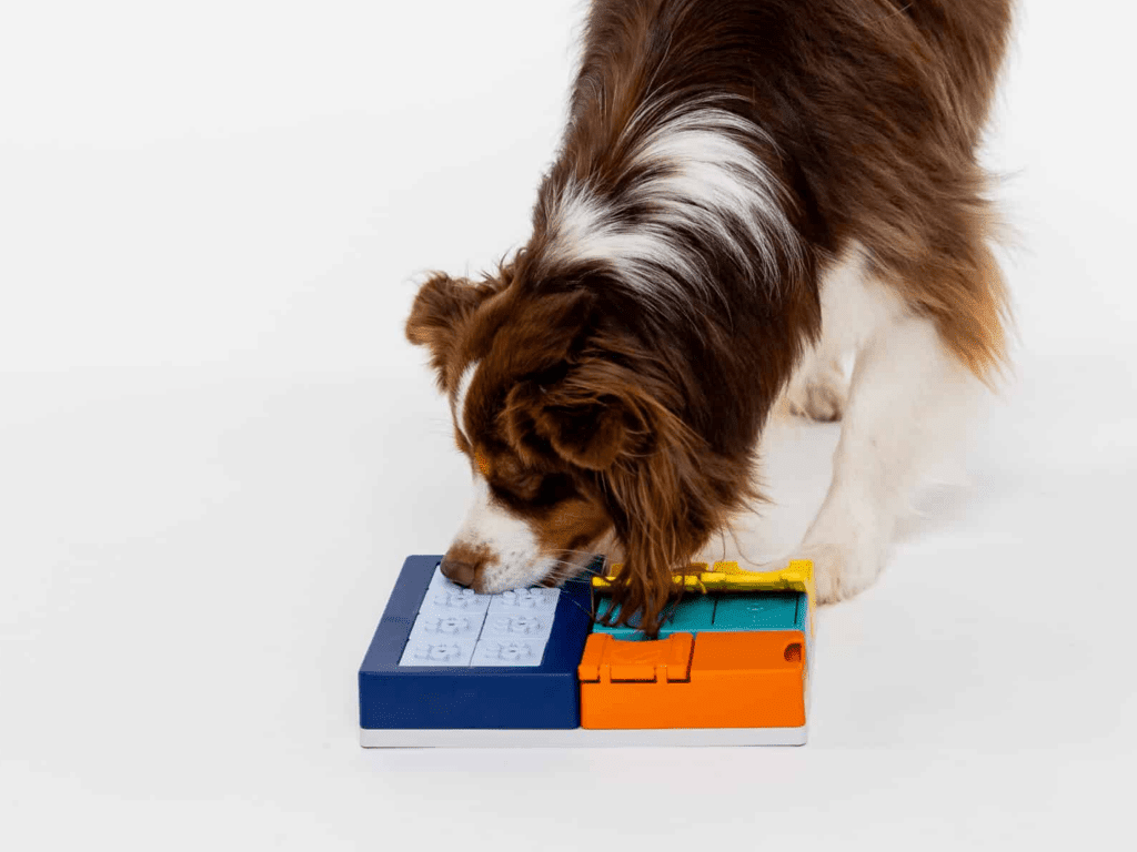 Berikelse - Hundepappa