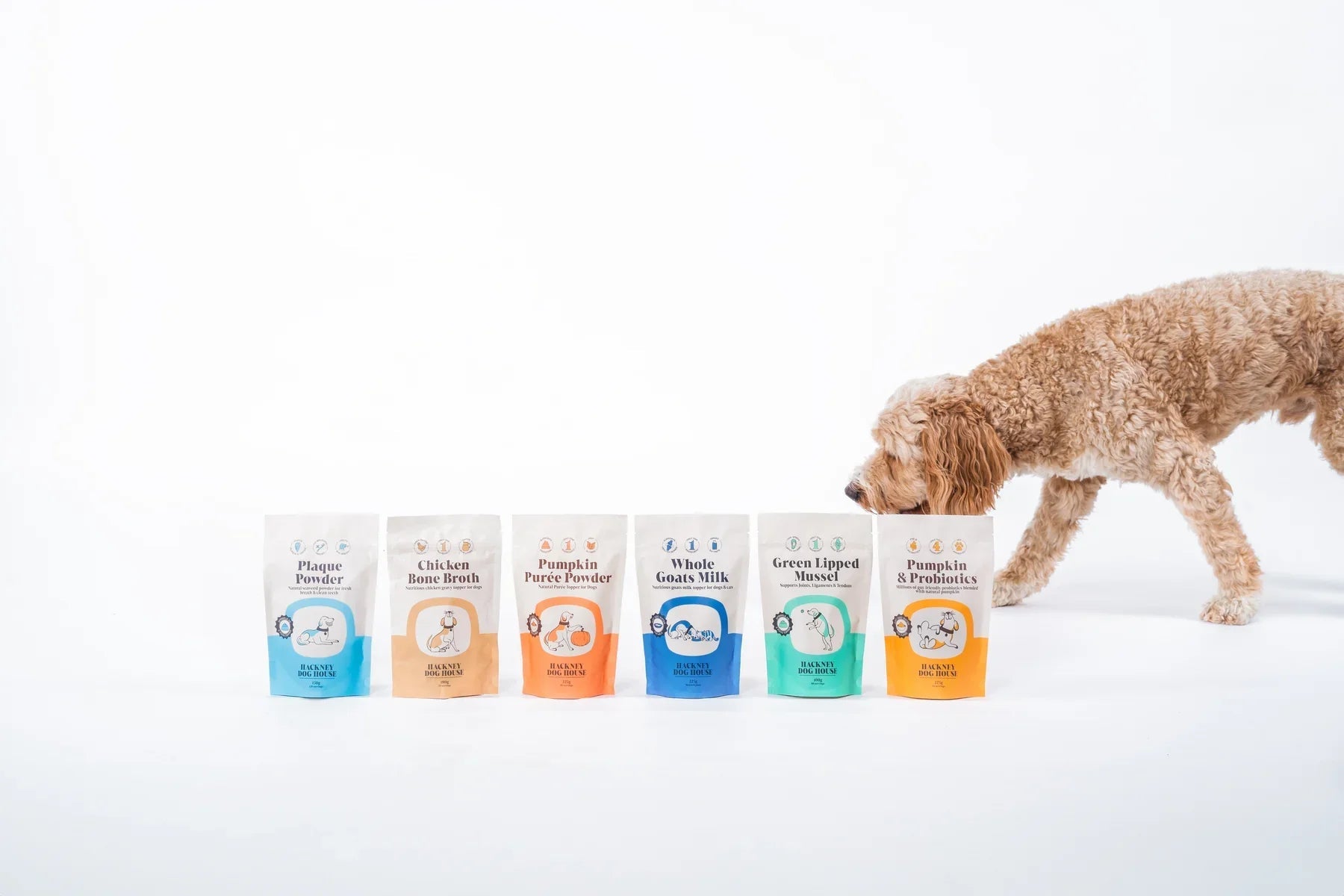 Hackney Dog House - Hundepappa