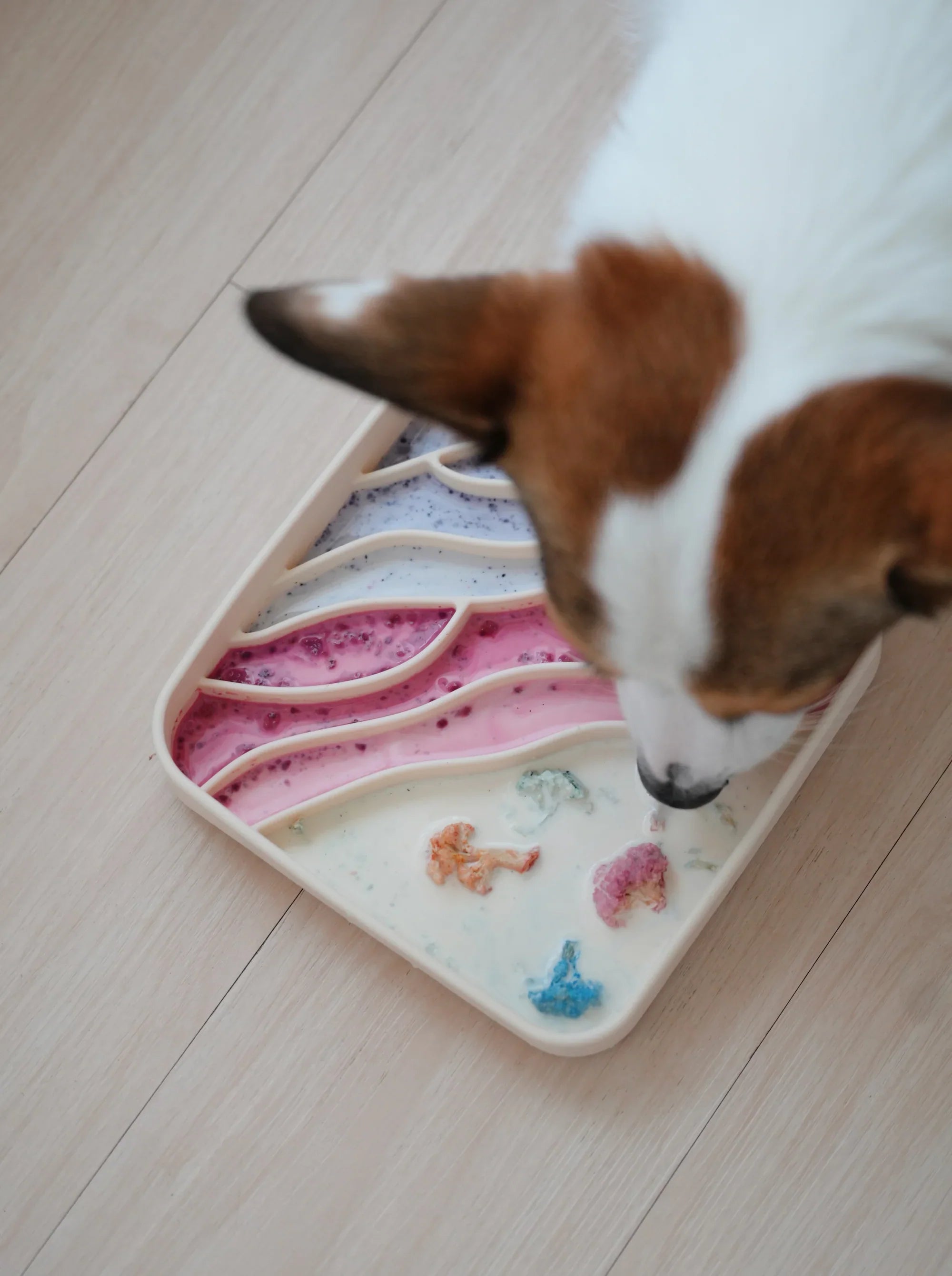 Slow feedere - Hundepappa