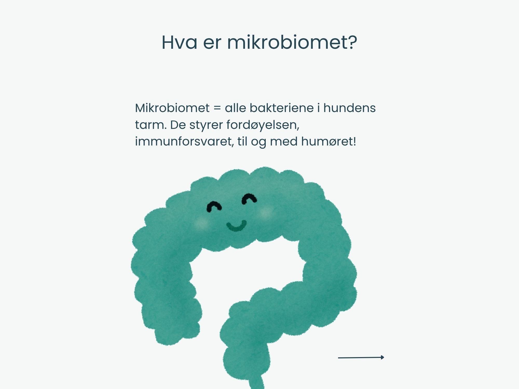 Canumi hermetisert breiflabblever i vann 170 g