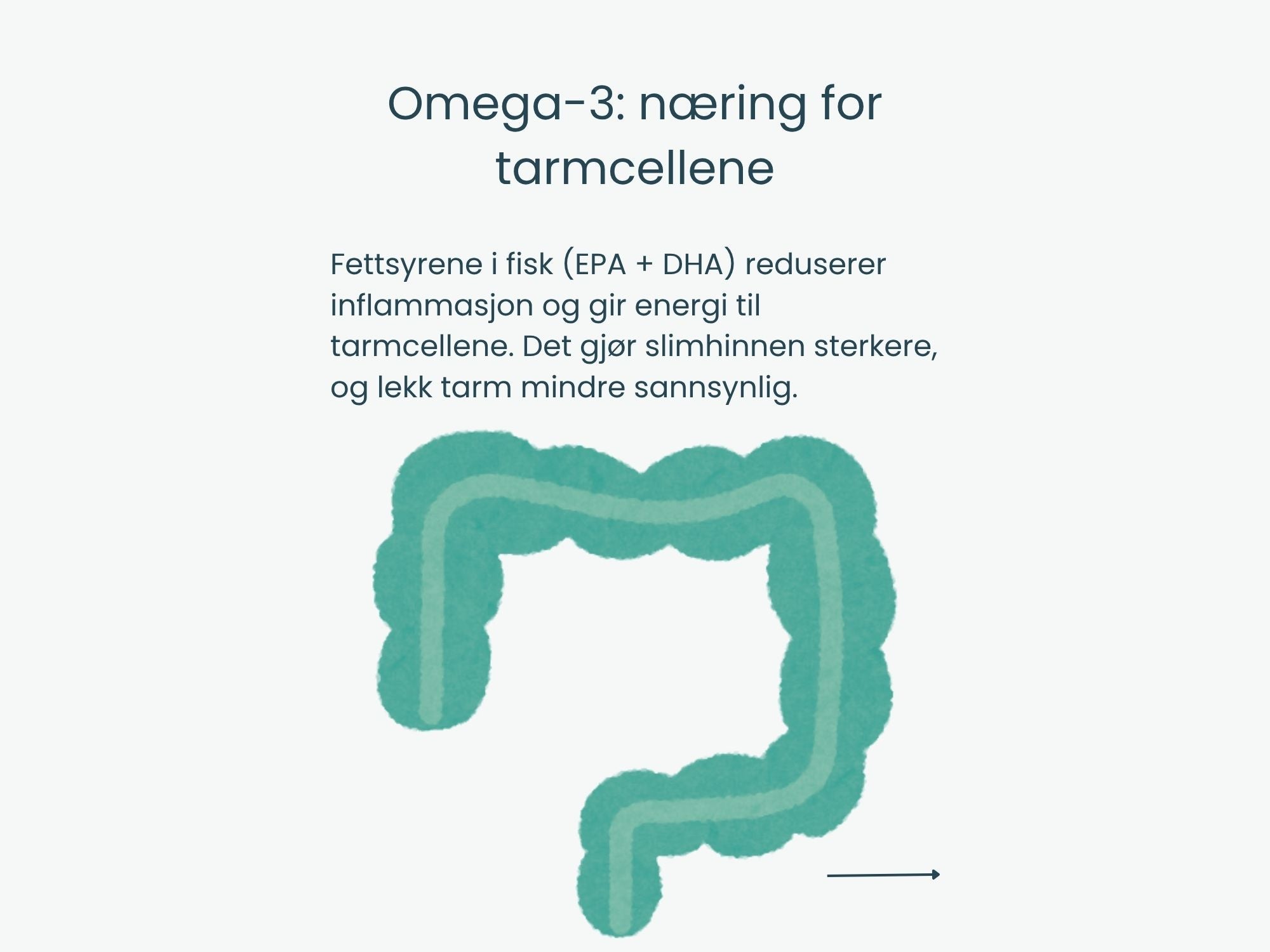 Canumi hermetisert breiflabblever i vann 170 g