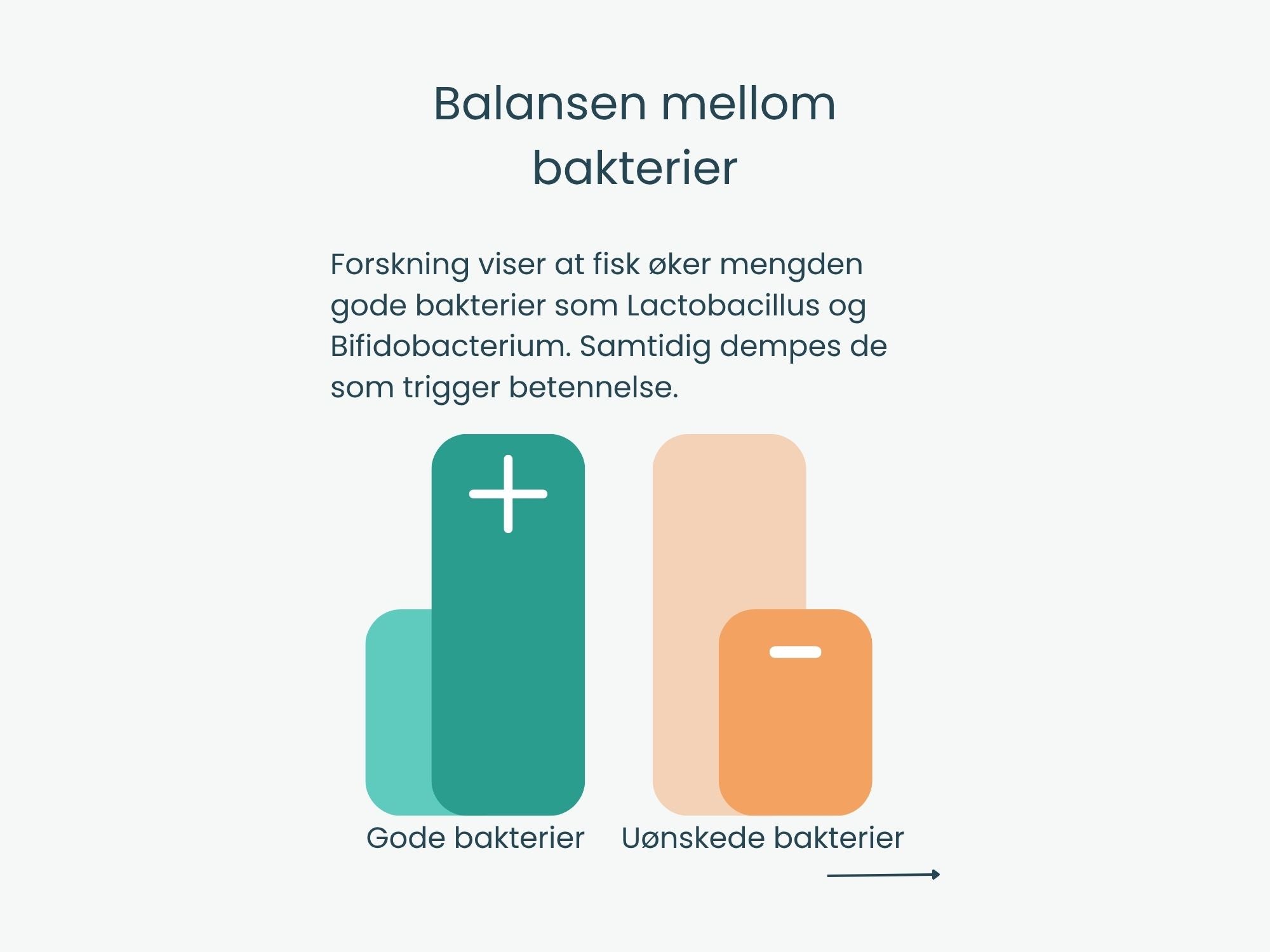 Canumi hermetiserte sardiner i vann 170 g