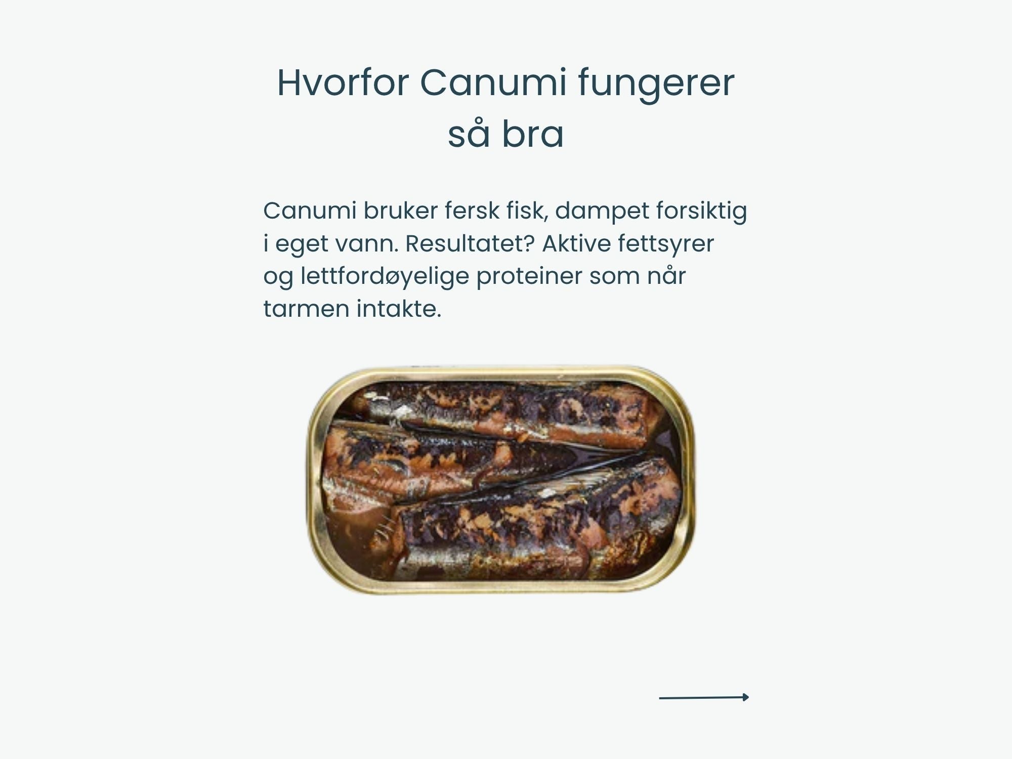 Canumi hermetiserte sardiner i vann 170 g