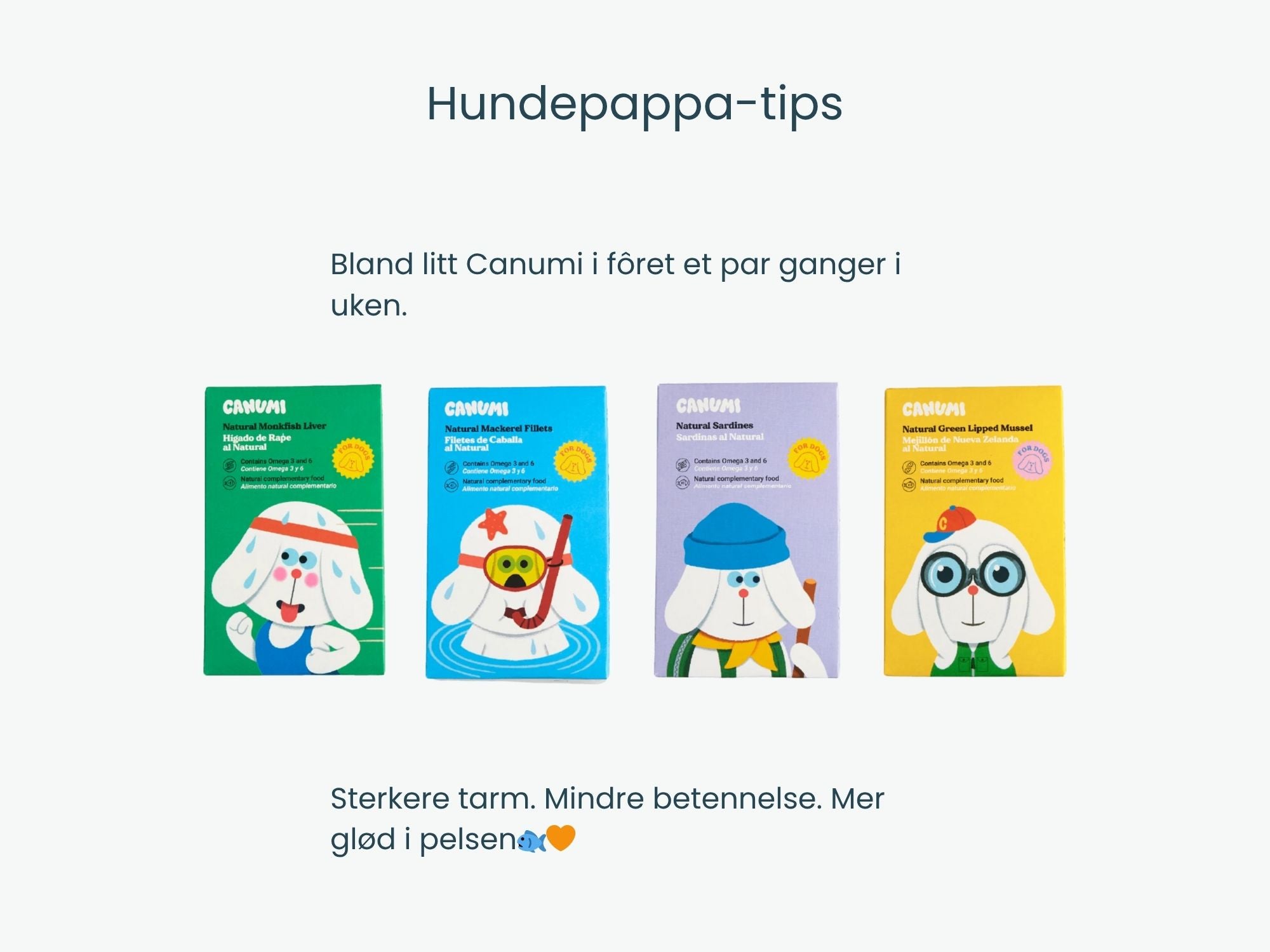 Canumi hermetiserte sardiner i vann 170 g
