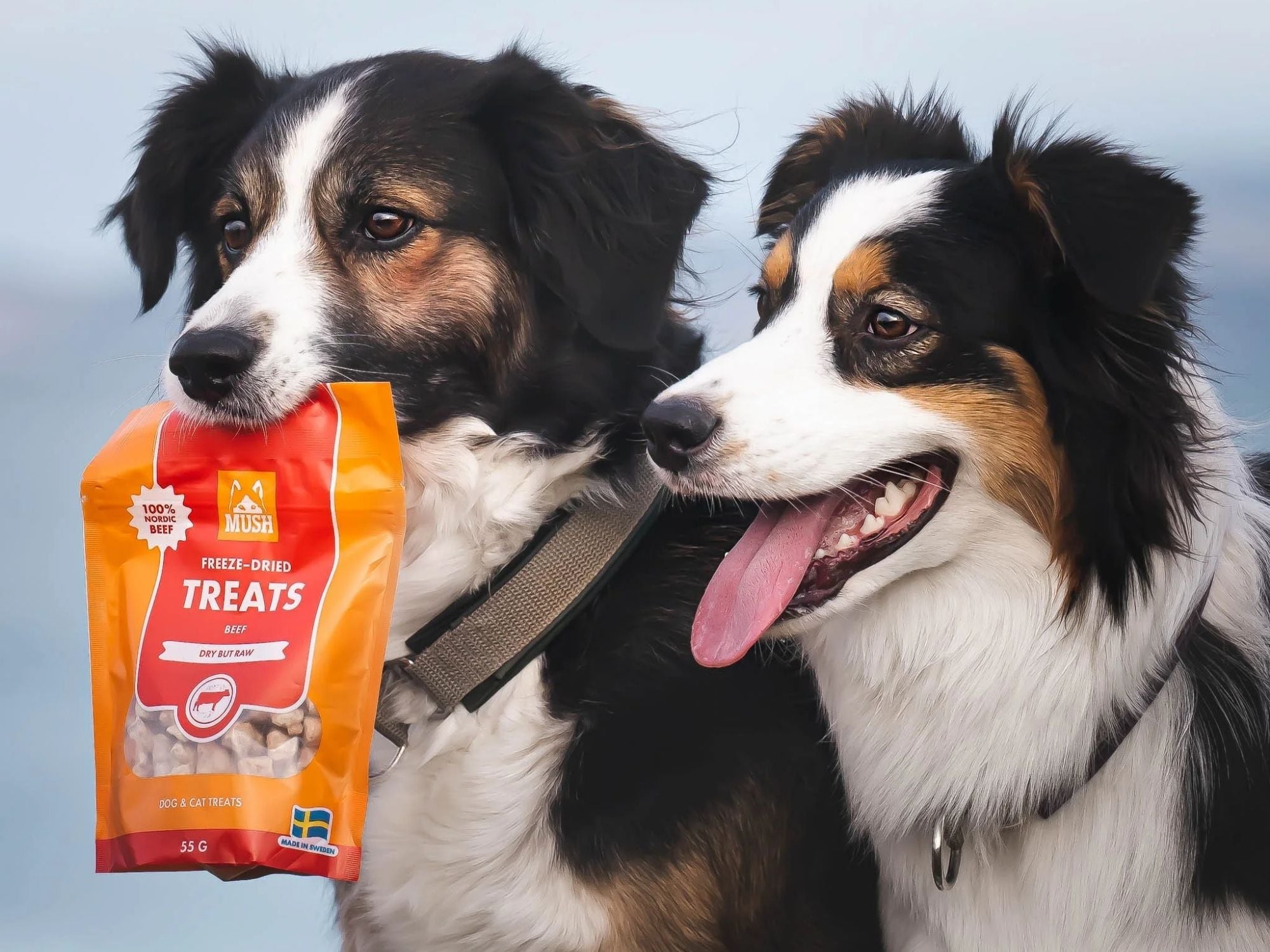 Mush Freeze-Dried Treats frysetørkede godbiter av storfe