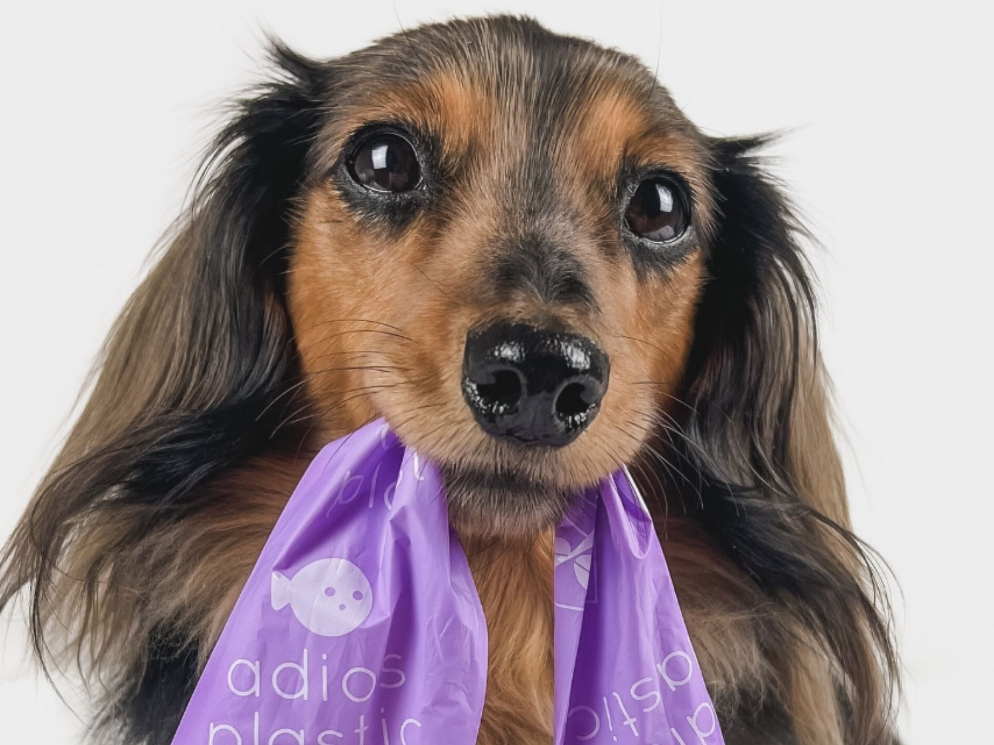 Adios komposterbare grå hundeposer med håndtak - Hundepappa