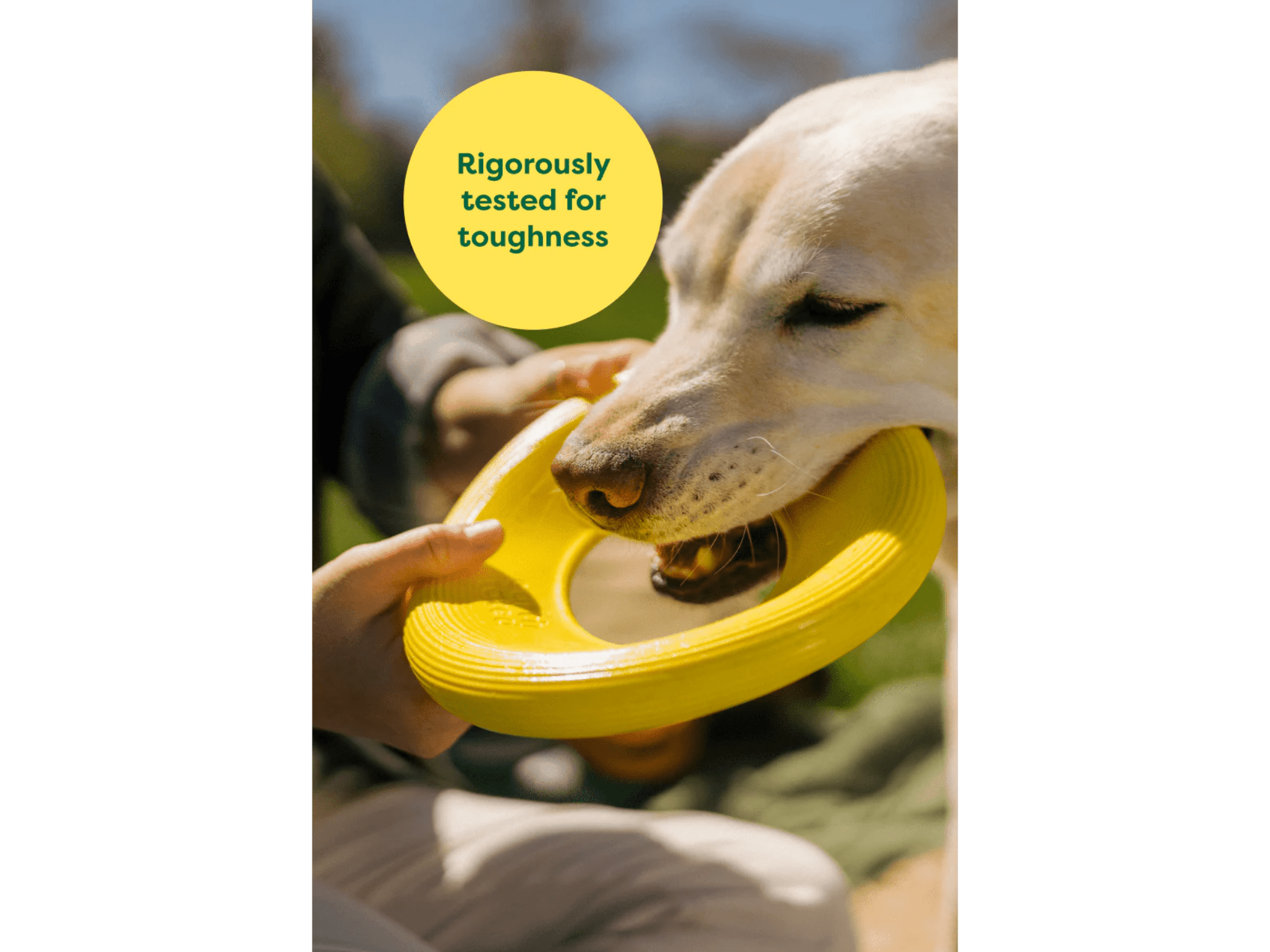 Earth Rated Fly Toy frisbee i naturlig gummi - Hundepappa