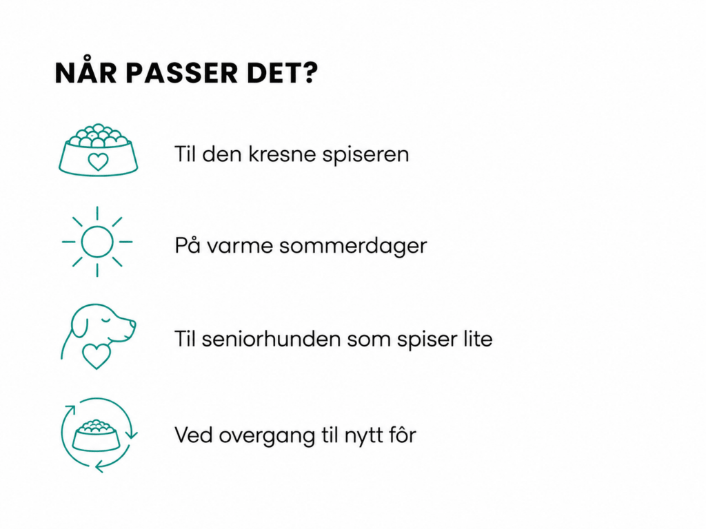 Boil And Broth beinkraftpulver av storfe 50 g - Hundepappa