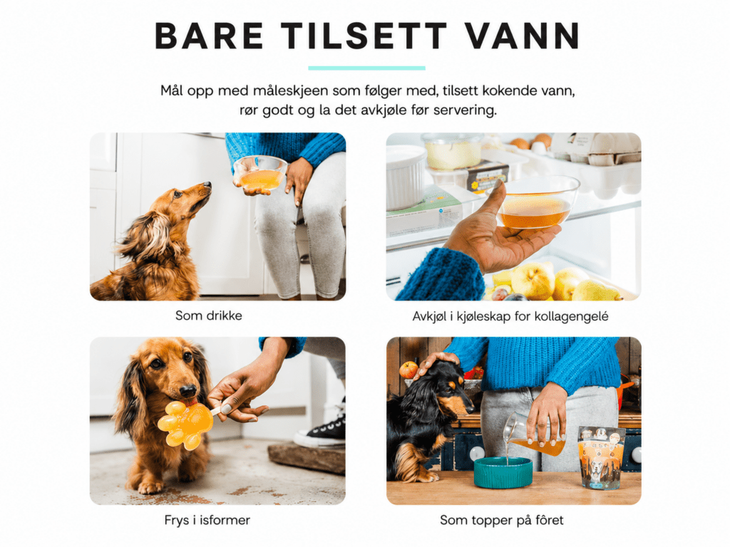Boil And Broth beinkraftpulver av storfe 50 g - Hundepappa