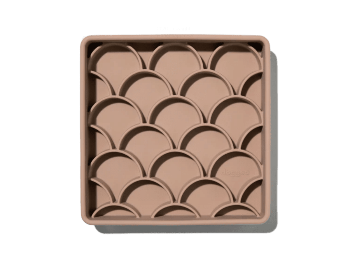 Dogged skjell 3 i 1 slow feeder, matboks og slikkematte - Hundepappa