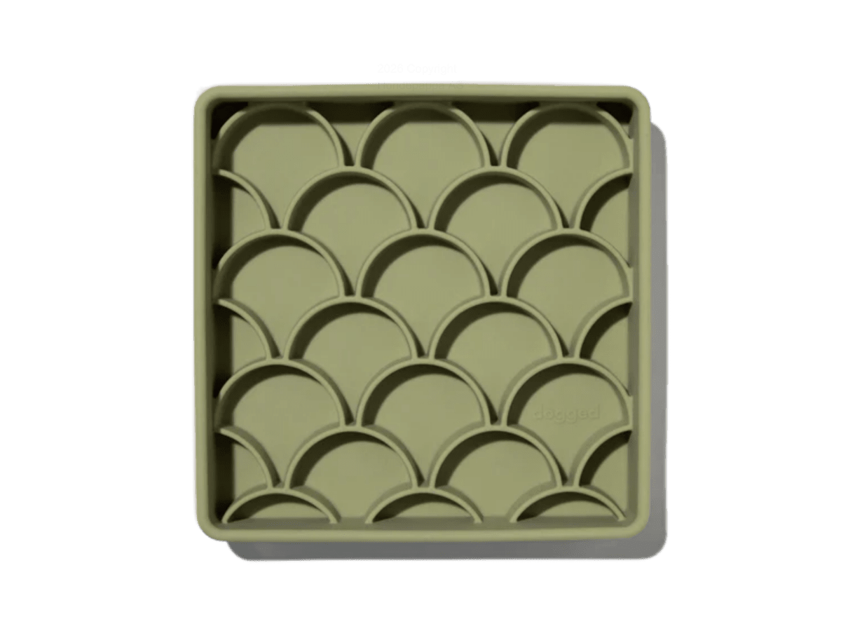 Dogged skjell 3 i 1 slow feeder, matboks og slikkematte - Hundepappa