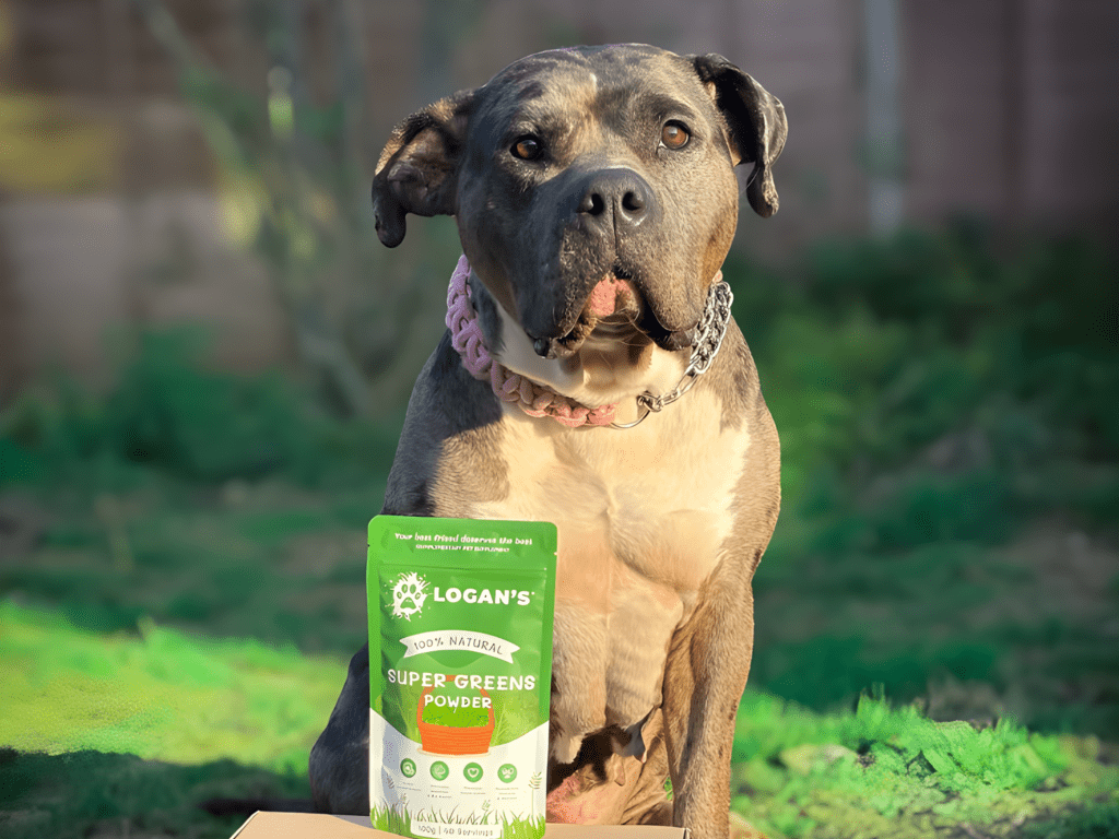 Logan's Super Greens 100 g - Hundepappa