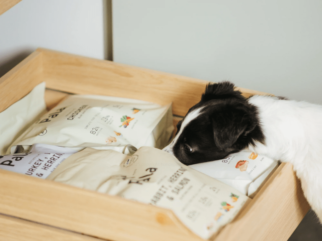 Pala Recipe 7 lufttørket råfôr av lam og norsk sild - Hundepappa