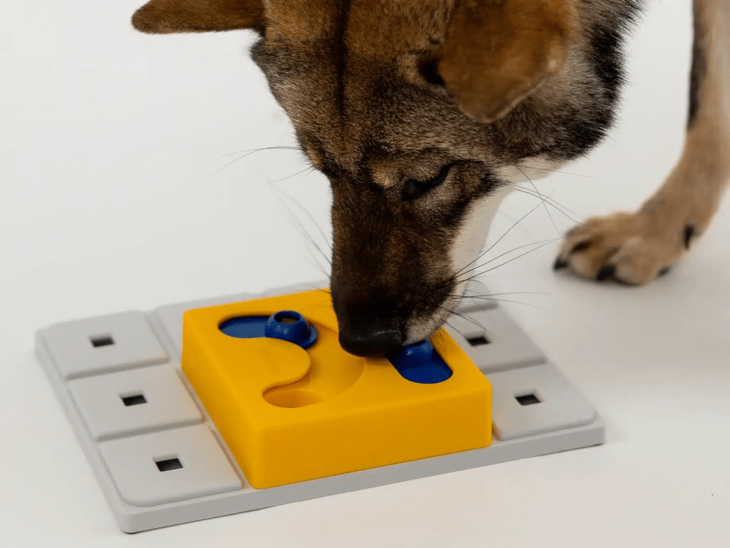Pawzler Kaya aktiviseringsmodul med 4 felt – nivå 2 - Hundepappa