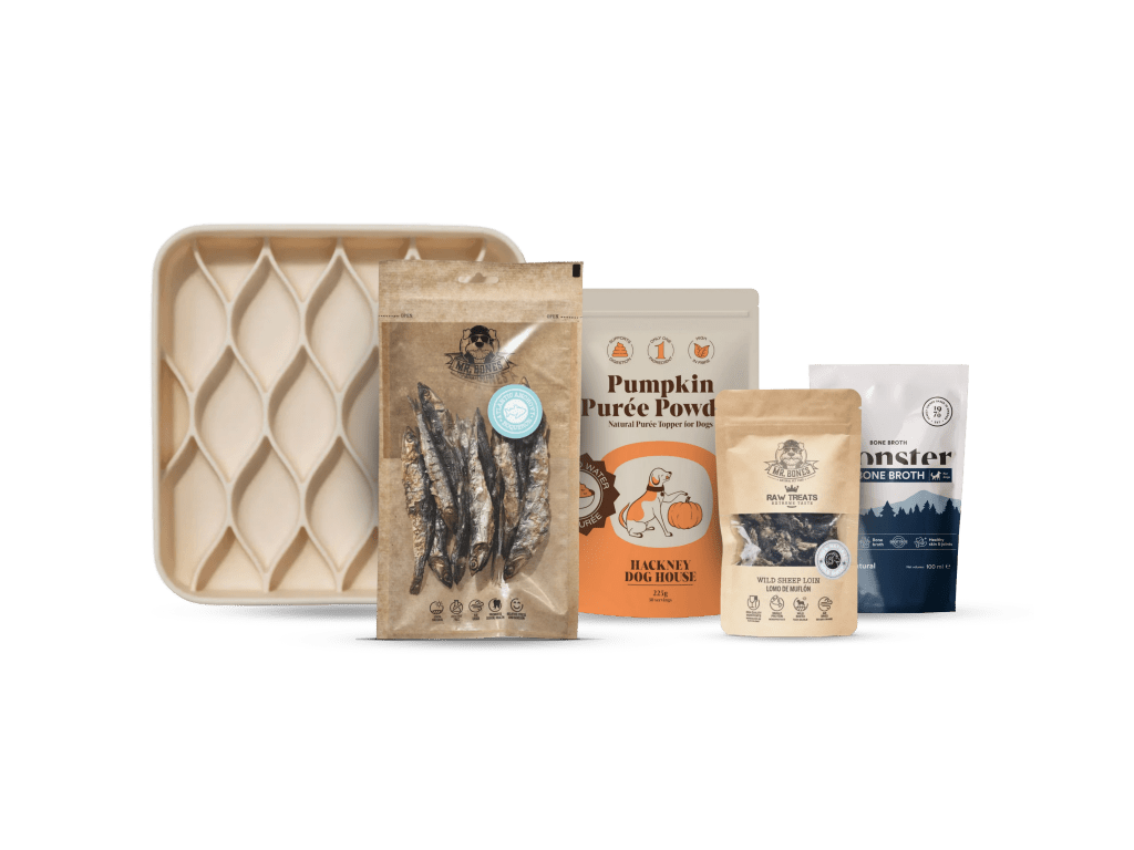 Valpepakke for sunn start - Hundepappa