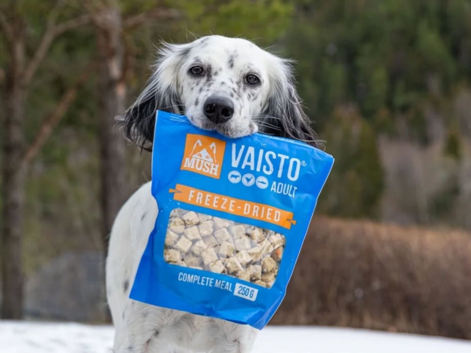 Mush Vaisto Blå frysetørket råfôr av storfe, kalkun og laks - Hundepappa