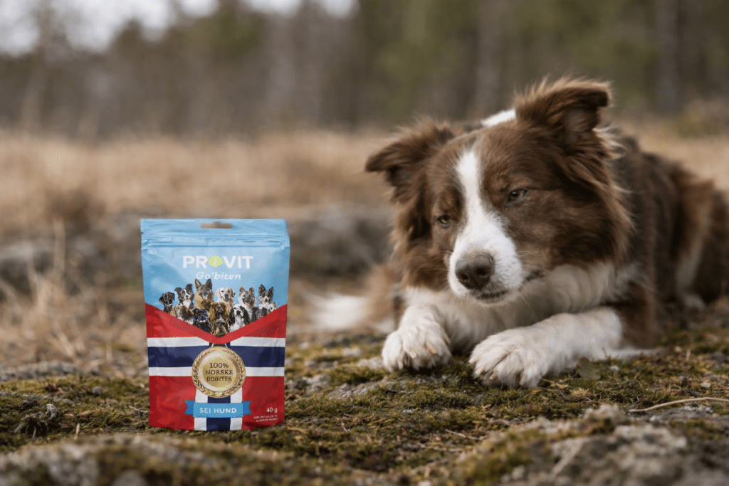 Frysetørkede godbiter fra Provit - Hundepappa