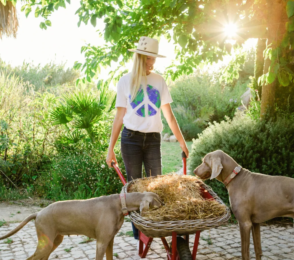Naturlige tilskudd fra Cooka's Cookies - Hundepappa