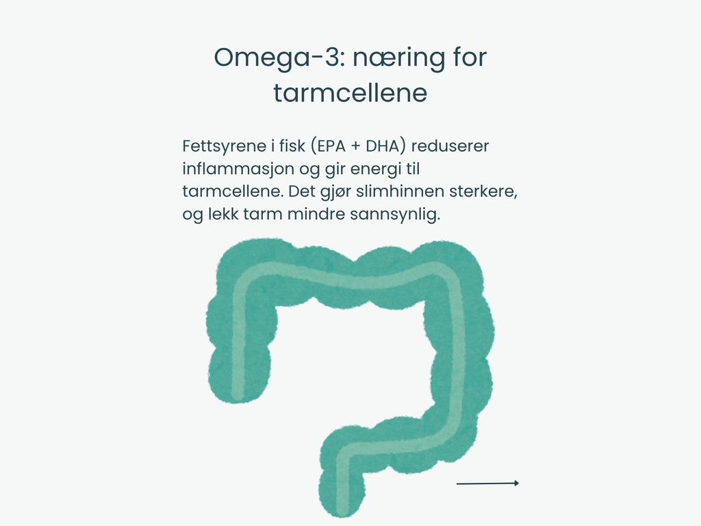 Canumi hermetisert breiflabblever i vann 170 g