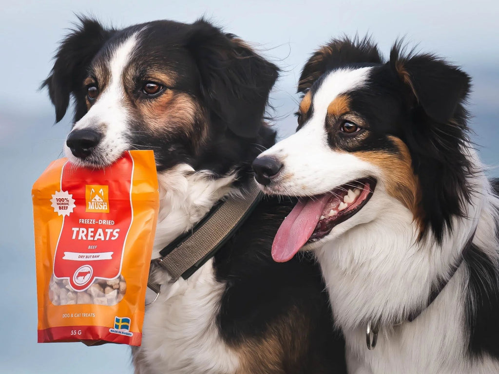 Mush Freeze-Dried Treats frysetørkede godbiter av storfe