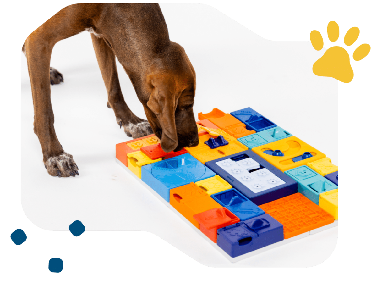 Pawzler Piper aktiviseringsmodul med 4 felt – nivå 3