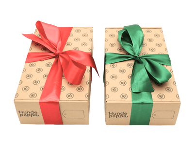 Årets Julepakke til Hund – Eksklusivt hos Hundepappa.no - Hundepappa