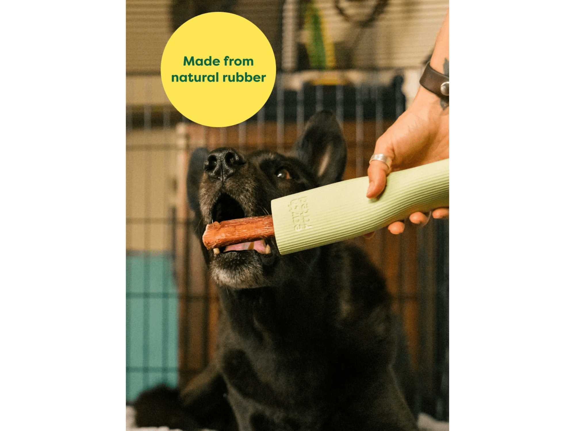 Earth Rated Chew Toy godbitholder i naturlig gummi - Hundepappa