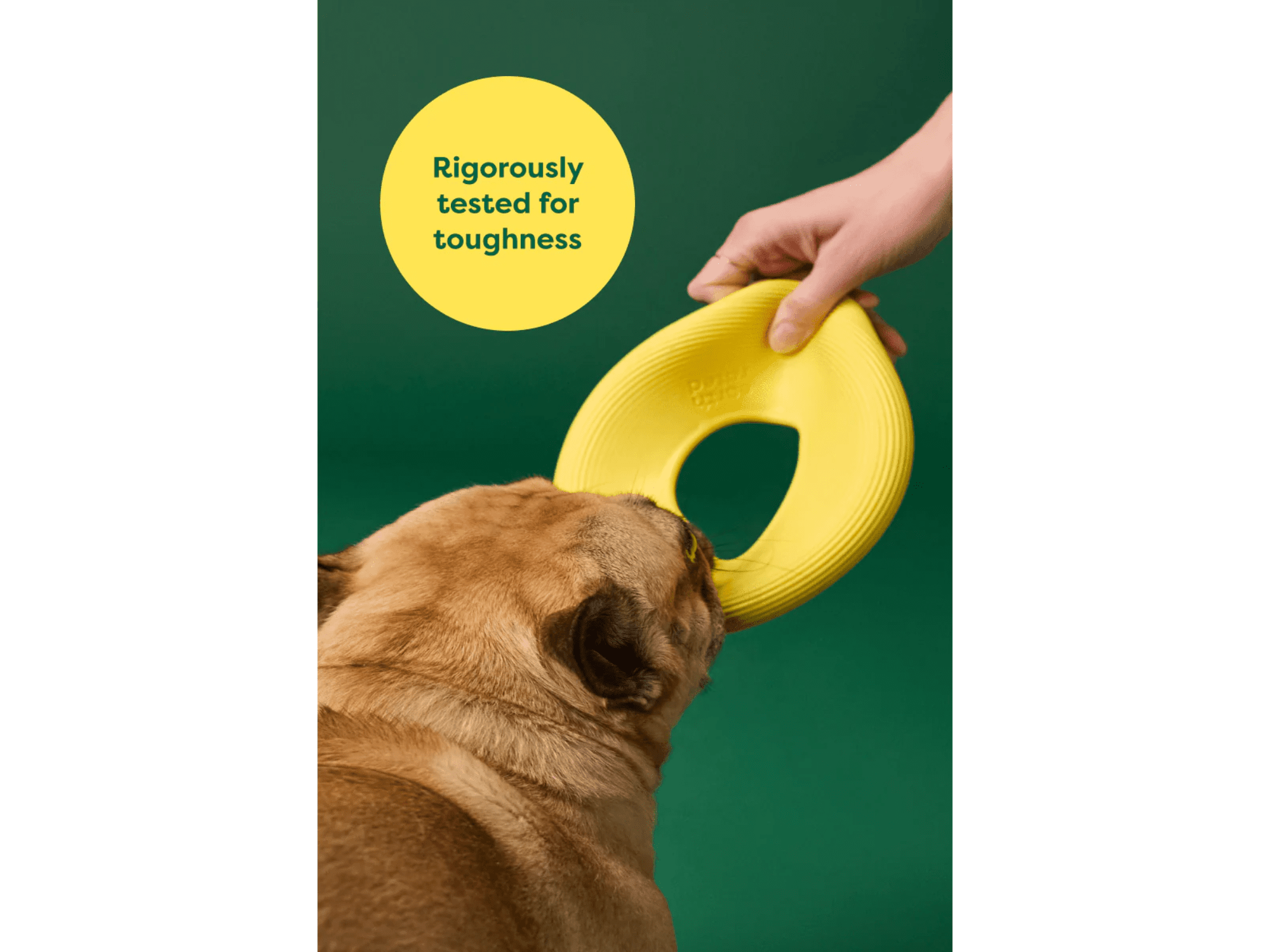 Earth Rated Fly Toy frisbee i naturlig gummi - Hundepappa