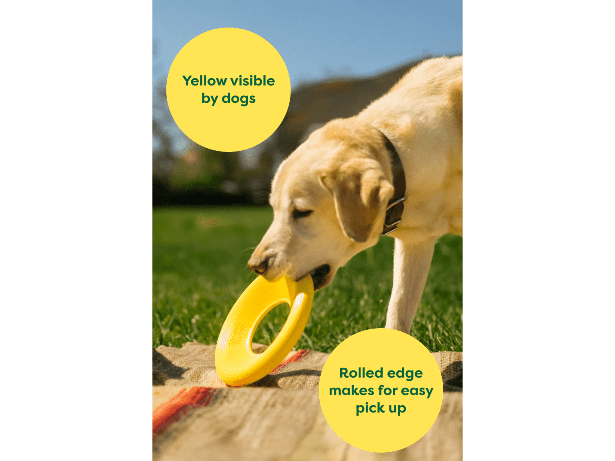 Earth Rated Fly Toy frisbee i naturlig gummi - Hundepappa