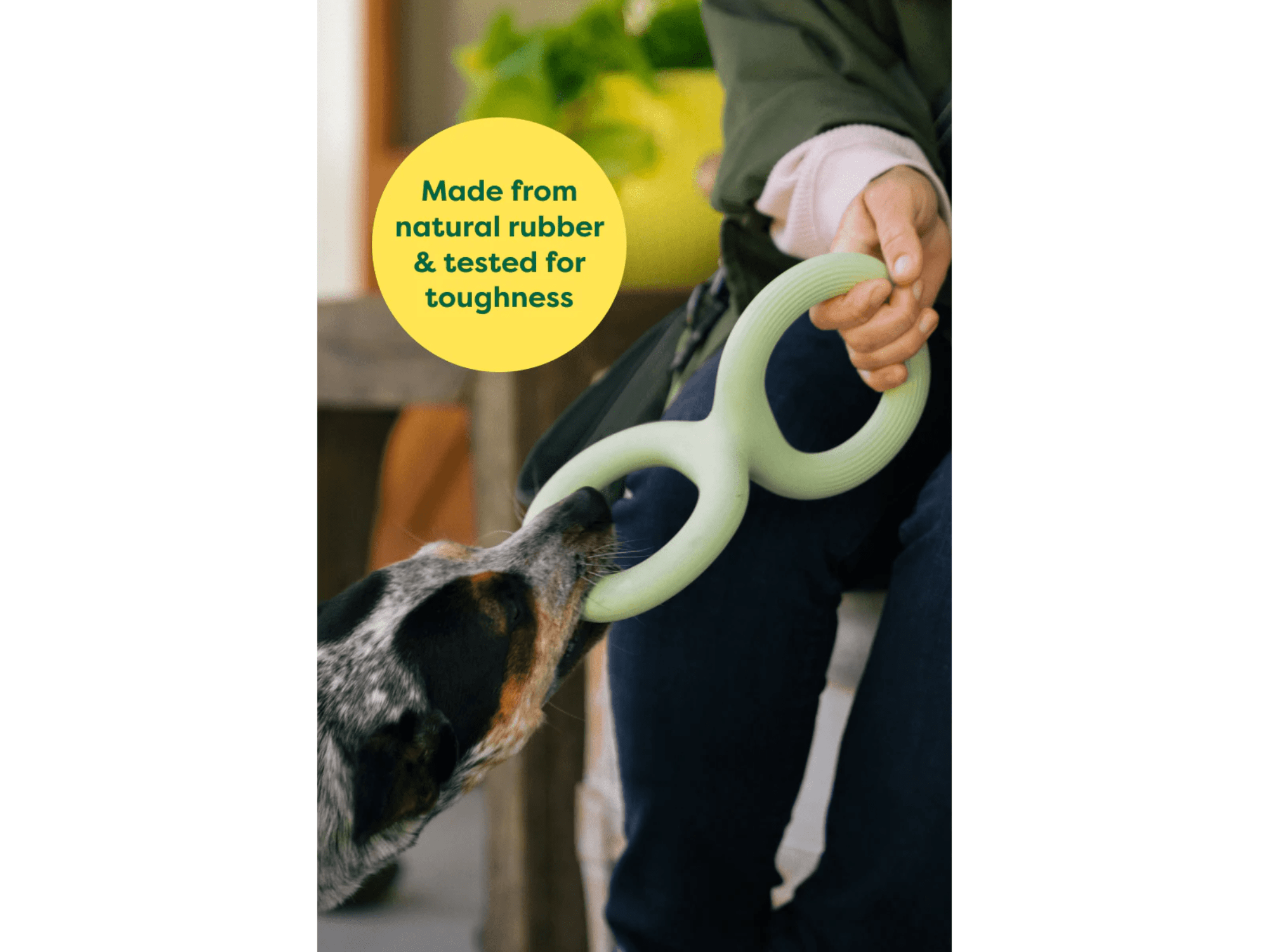 Earth Rated Tug Toy drakampleke i naturlig gummi - Hundepappa