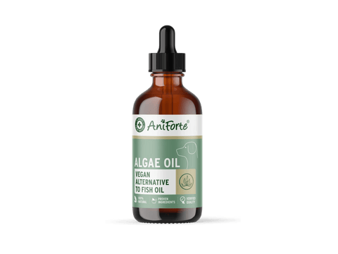 AniForte algeolje 50 ml - Hundepappa