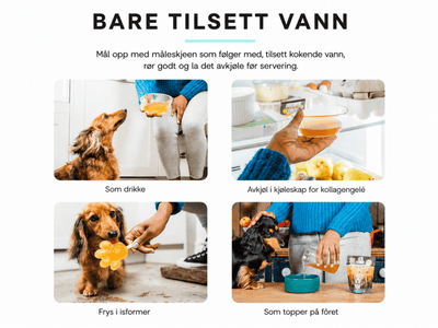 Boil And Broth beinkraftpulver av storfe 50 g - Hundepappa
