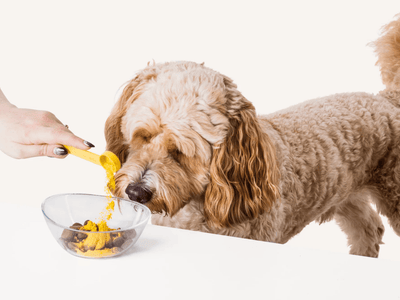 Hackney Dog House gresskarpulver 225 g - Hundepappa