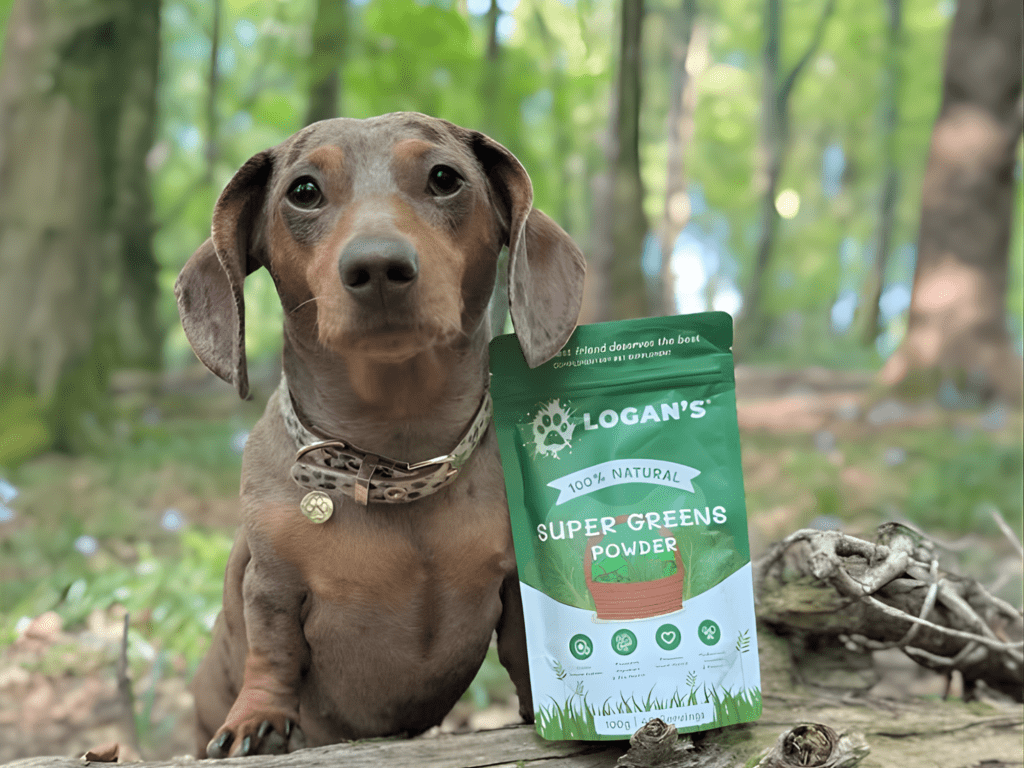 Logan's Super Greens 100 g - Hundepappa