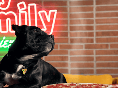 MyFamily ID brikke pizza - Hundepappa