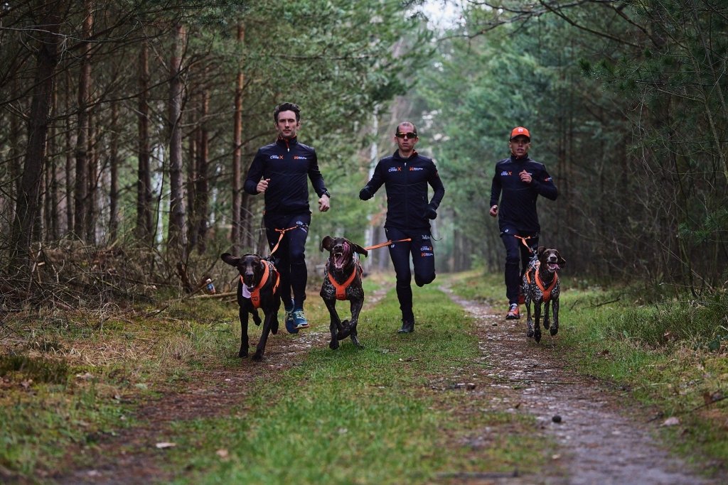 Non-stop Bungee leash - Hundepappa