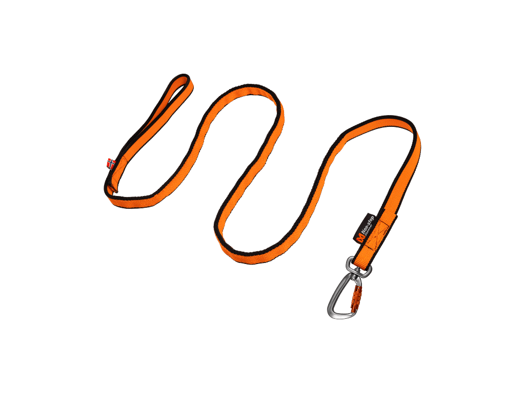 Non-stop Bungee leash - Hundepappa