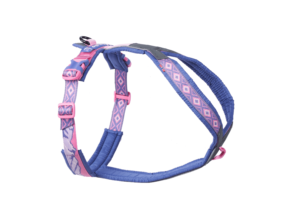 Non-stop Line harness 5.0 Rachel Pohl edition - Hundepappa