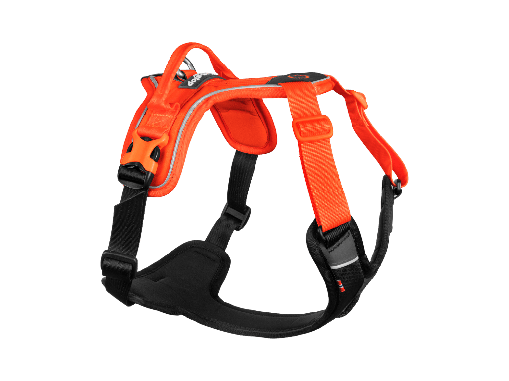 Non-stop Ramble harness - Hundepappa