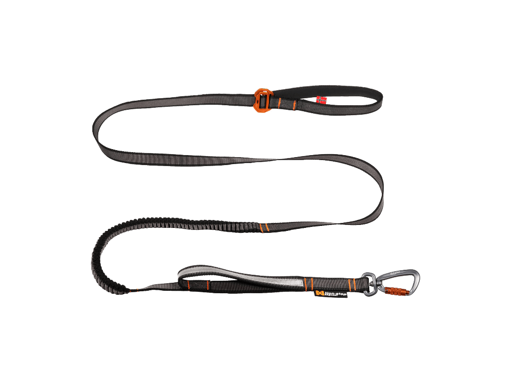 Non-stop Touring bungee adjustable - Hundepappa