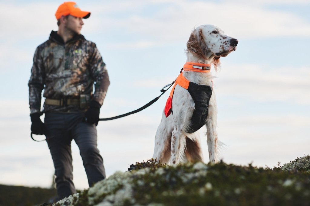 Non-stop Touring bungee adjustable - Hundepappa