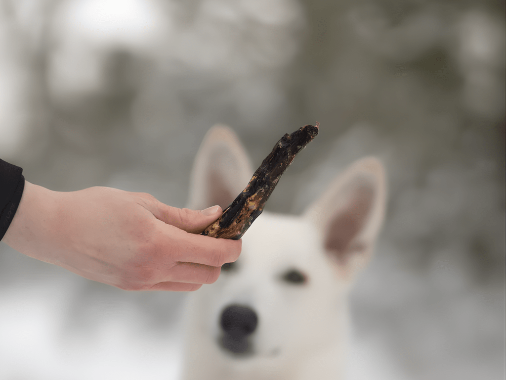 Pala lufttørkede gåsehalser 170 g - Hundepappa