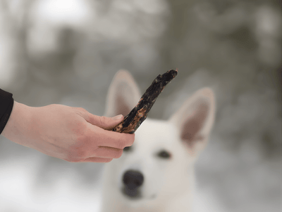 Pala lufttørkede gåsehalser 170 g - Hundepappa