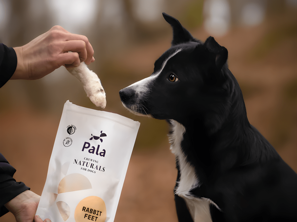 Pala lufttørkede kaninføtter 100 g - Hundepappa