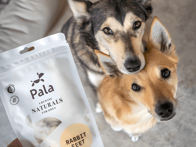 Pala lufttørkede kaninføtter 100 g - Hundepappa