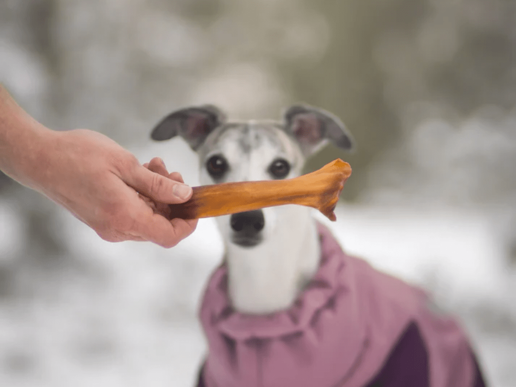 Pala lufttørket hestehud 100 g - Hundepappa