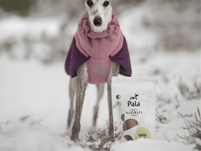 Pala lufttørket hestehud 100 g - Hundepappa