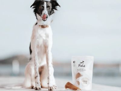 Pala lufttørket hestehud 100 g - Hundepappa