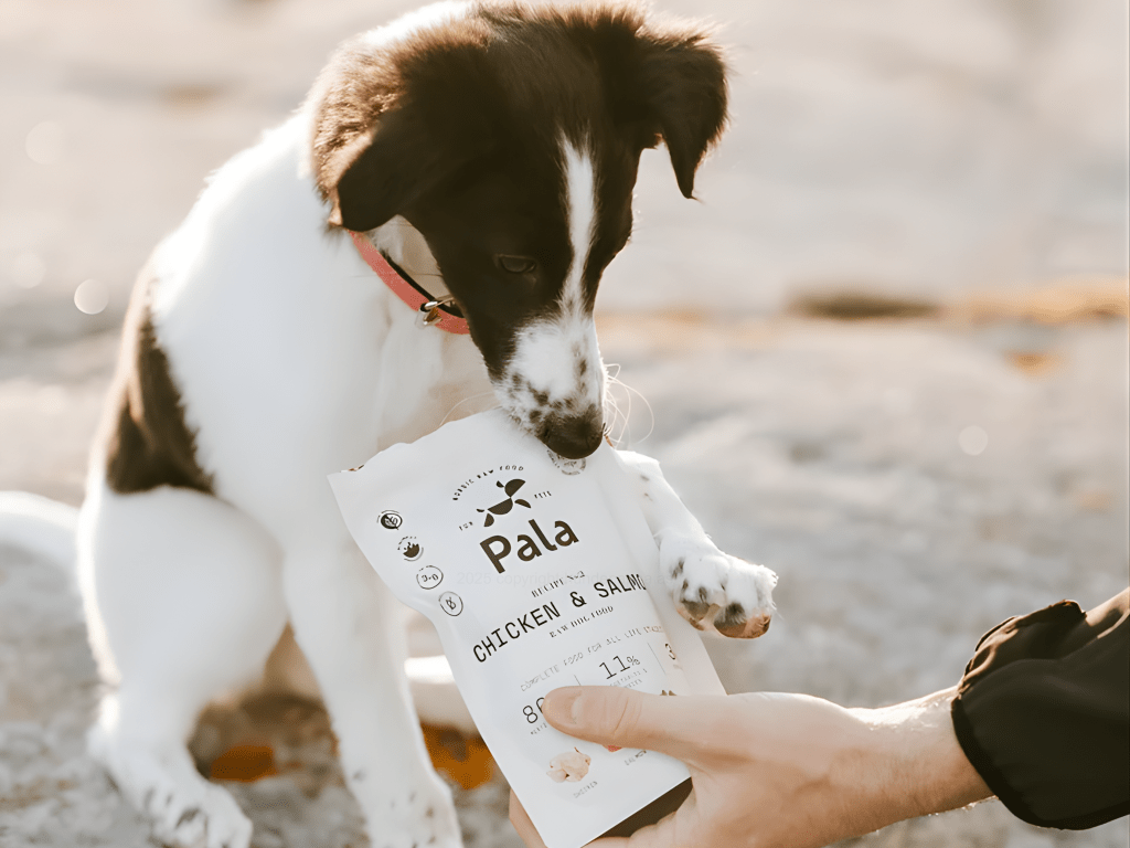 Pala Recipe 2 lufttørket råfôr av kylling og norsk laks - Hundepappa