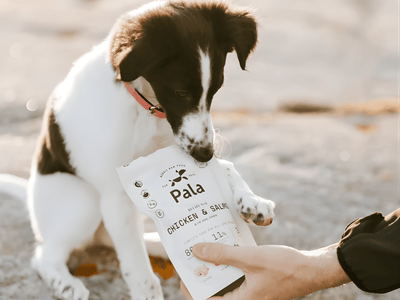 Pala Recipe 2 lufttørket råfôr av kylling og norsk laks - Hundepappa